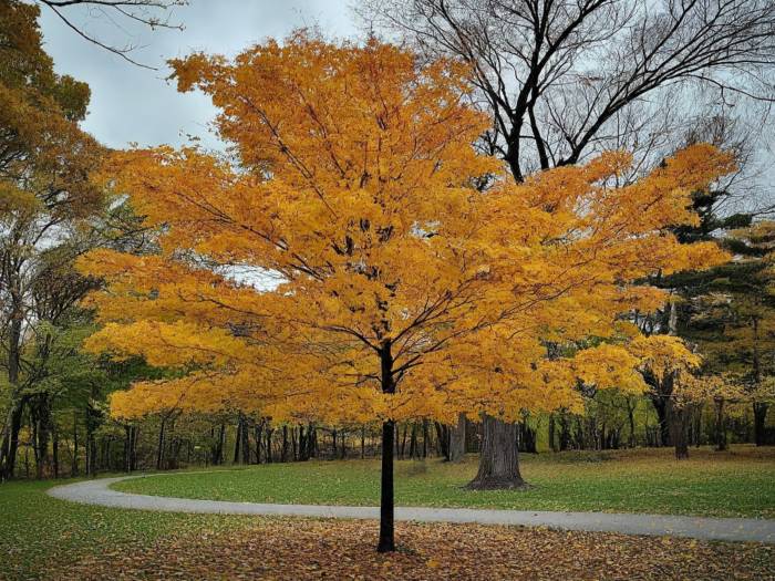 Kanata Parks, 2025